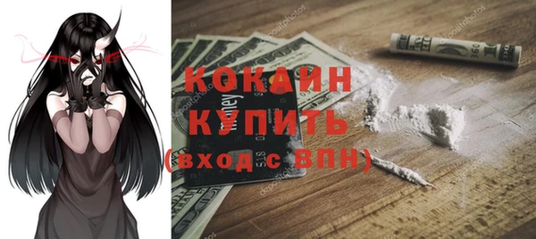 дживик Абинск