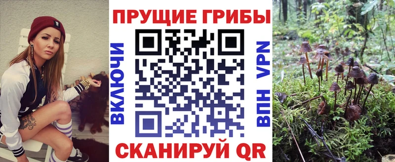 Галлюциногенные грибы Psilocybine cubensis  купить наркоту  мега ONION  Кадников 
