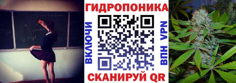 Марихуана тримм  mega зеркало  Кадников 